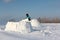 Man building an igloo of snow blocks in the winter