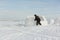 Man building an igloo from snow blocks in the winter, Novosibirsk, Russia