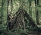 Man building a survival shelter in the forest. Shelter in the woods from tree branches