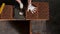 A man builds a brick wall, construction of a brick house. Stock footage. Top view of industrial worker placing ceramic