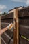 A man builds and paints a fence from rough boards