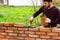A man builds a wall of bricks, lays a brick on a cement-sand mortar.
