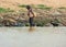 Man from Cambodian slums in the muddy water of Tonle Sap lake-Siem Reap, Cambodia 02/21/2011 .