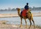 A man with camel waiting for rider at assi ghaat