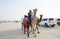 Man with camels at the million street where camels are being bought and sold