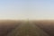 A man with a cane and a dog on the path in the middle of the field in the fog. Atmospheric photography