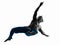 Man capoeira dancer dancing silhouette