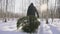 A man carries a Christmas tree home through the forest against the backdrop of the sun. Beautiful winter nature