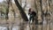 Man Carries Model On Shoulders To Stump In Flood