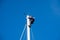 A man carries out work on the top of the mast of a sailboat