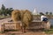 Man carrying heap of straw, Bullapur, Karnataka, India