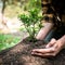 Man carrying seedling in two hands and protection new growing seedling to planting into soil in the garden