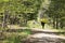 Man carrying a white water kayak and paddle up an outdoor trail