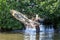 A man casts his fishing net into a lagoon at Negombo in Sri Lanka.