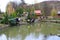 Man catching trout by nettle in pond. Fish farming