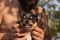 Man and chihuahua. A bearded man hugs a small dog breed Chihuahua. Chihuahua