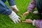 The man with the child plant daisy seedling on a lawn