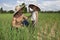 Man and child in the rice paddy, Thailand