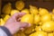 Man choosing fresh lemons in supermarket. Man`s hand takes a fresh lemon from the food shelf. Organic products