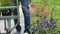 Man Choosing Plants At Garden Centre