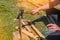 A man chops firewood on a hike