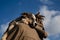 Man chose puppy from shelter. Young Caucasian man with dreadlocks hugs blue-eyed Alaskan husky puppy outside on warm day