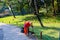 Man clean autumn leaves in beautiful park