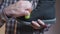 Man cleaning black boots with brushes in the studio. Male brushing nubuck footwear with a small scrub brush. Theme of