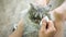 Man cleaning eye of a gray striped Persian cat