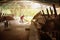 Man Cleaning Farm Farmer Sweeping Stables People In Ranch