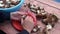 Man cleaning fresh boletus edulis mushrooms