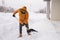 Man cleaning snow from sidewalk and using snow shovel. Winter season