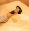 A man cleans a dirty mattress with an electric brush.