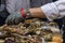 A man cleans oysters in shells with iron gloves