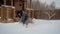 Man Cleans Shovel In Winter Yard From Snow On The Background Of A Wooden House