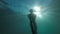 A man in clear sea water is engaged in snorkeling and freediving. Silhouette of a diver swimming in depth with the rays