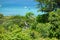 A man clearing tree limbs in preparation for the hurricane season in the Caribbean