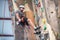 Man climber on artificial climbing wall