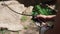 Man climber belaying partner with belaying device.