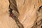 Man Climber Rock Climbing. Crack Trad Climbing. Cliffs in Tamgaly Tas, Kazakhstan. Aerial View