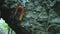 Man climbing bouldering route on the cliff