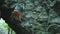 Man climbing bouldering route on the cliff