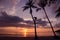 Man climbing coconut tree.