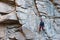 A man climbing the mountain in Buky Canyon in Ukraine