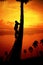 Man climbing a sugar palm tree