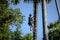 A man climbing to collect sugar palm