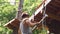 Man climbs on the ropes in entertainment park