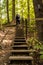 Man Climbs Steep Set of Stairs on the Buckeye Trail