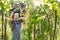 Man clipping branch in garden