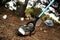 Man collecting garbage on the forest